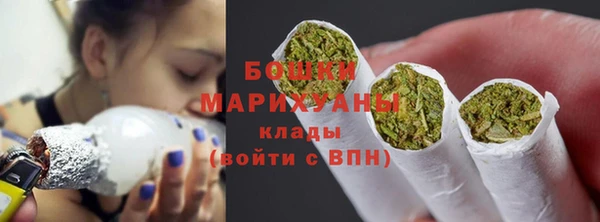 мдпв Киреевск