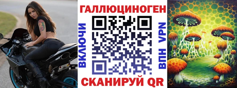Купить где  Богородск  Псилоцибиновые грибы Psilocybine cubensis 